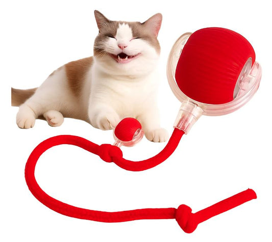 2 Pelotas Inteligentes Para Gato - 3 modos de movimiento impredecible V2